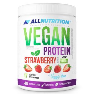 640 VEGAN PROTEIN 500g